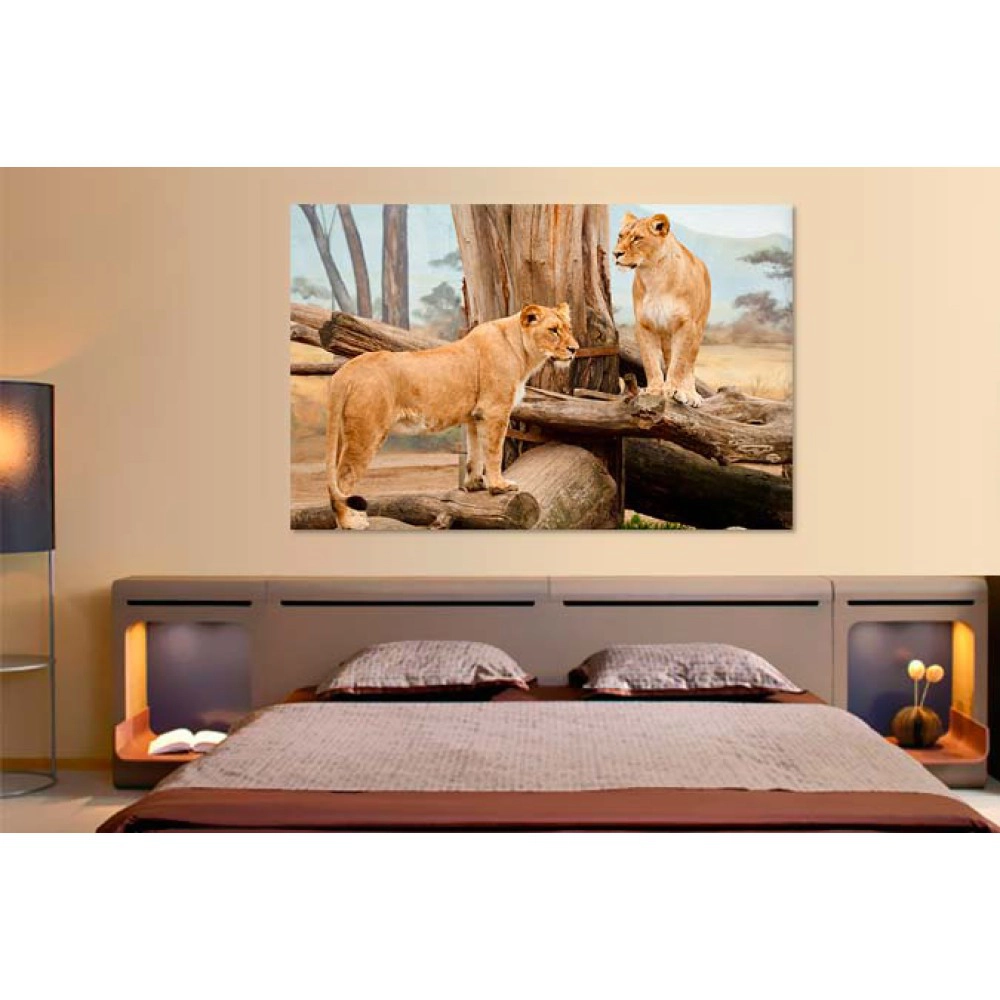 Leoaice Africa 21940