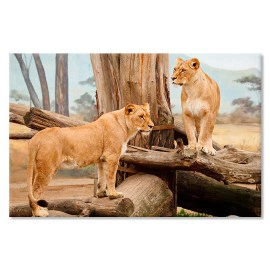 Leoaice Africa 21940