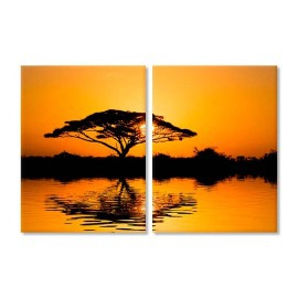 Africa peisaj copac 1702