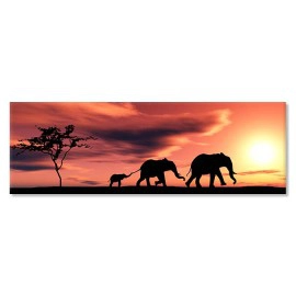 Familie elefanti 22692