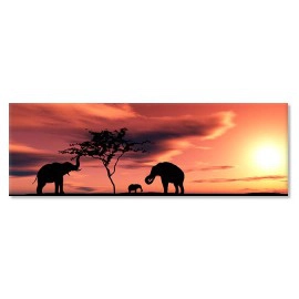 Elefanti Africa 22924