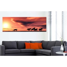 Urmarire Africa 22971