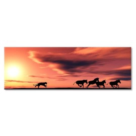 Urmarire Africa 22971