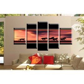 Urmarire in Africa 2271