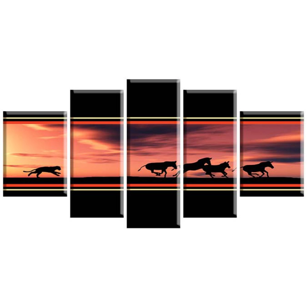 Urmarire in Africa 2271