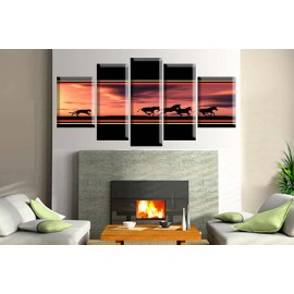 Urmarire in Africa 2271