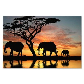 Elefanti la plimbare 5141