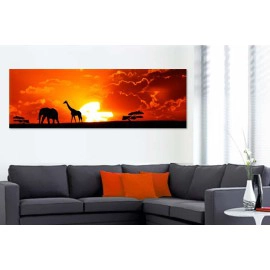 Africa la Apus 80605