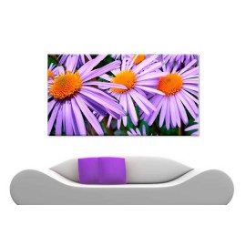 Tablouri aster 57764