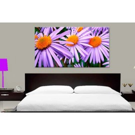 Tablouri aster 57764