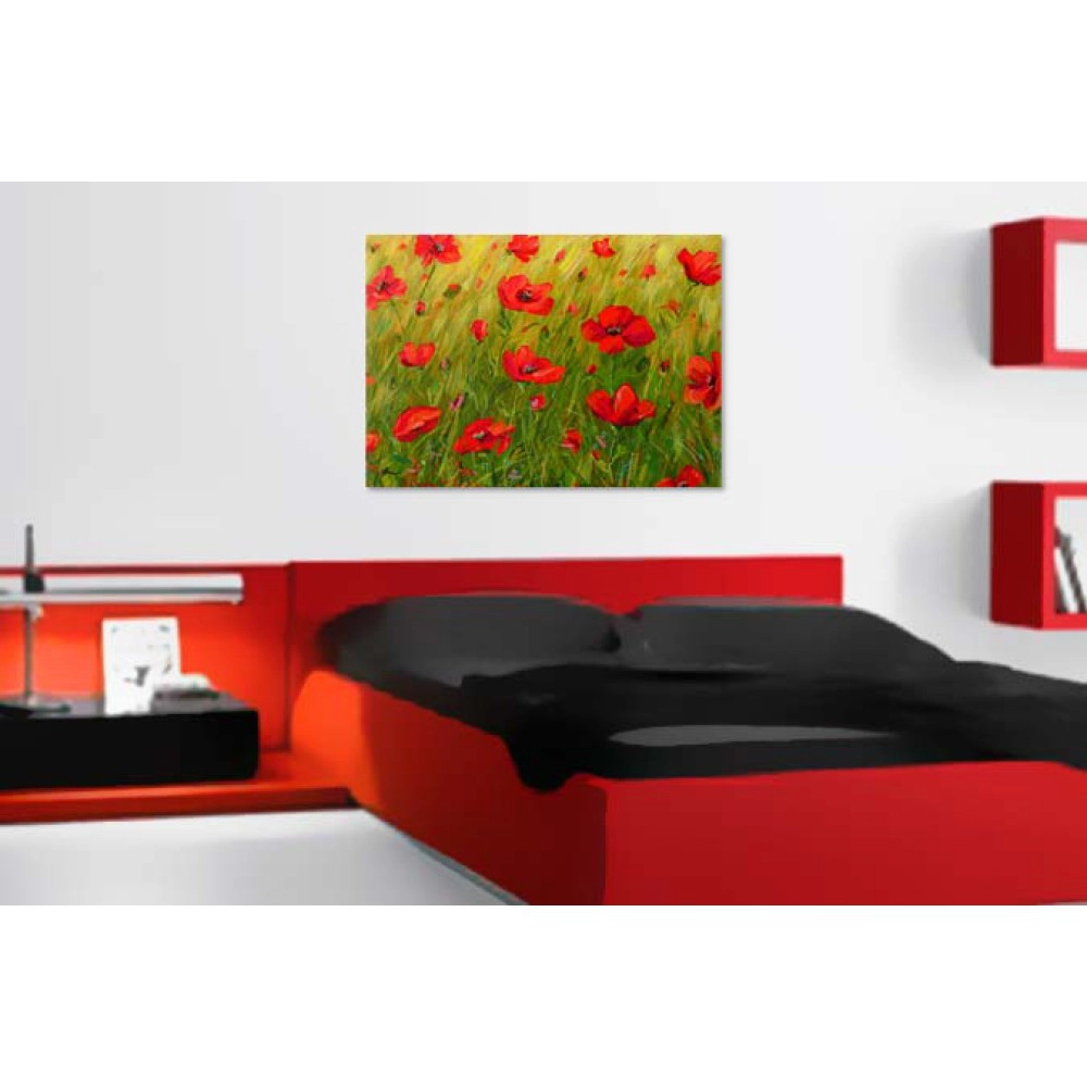 Barb camp cu maci 7050