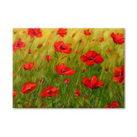 Barb camp cu maci 7050