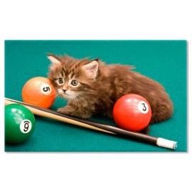 Pisica la biliard 7362