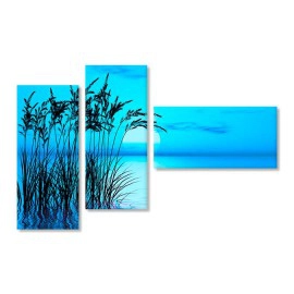 Albastru infinit 9056