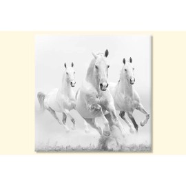 Tablouri canvas cai albi 48121