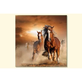 Tablouri dormitor cai in galop