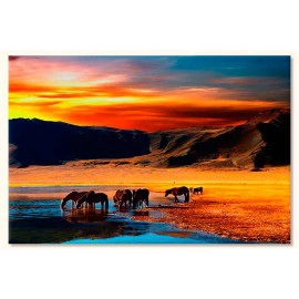 Cai la asfintit 5043