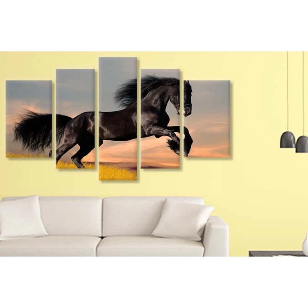 Tablouri moderne Friesian 4842