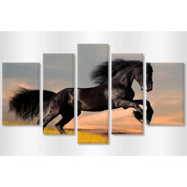 Tablouri moderne Friesian 4842