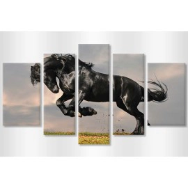 Tablouri canvas Friesian 6954