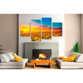 Campul soarelui 13421