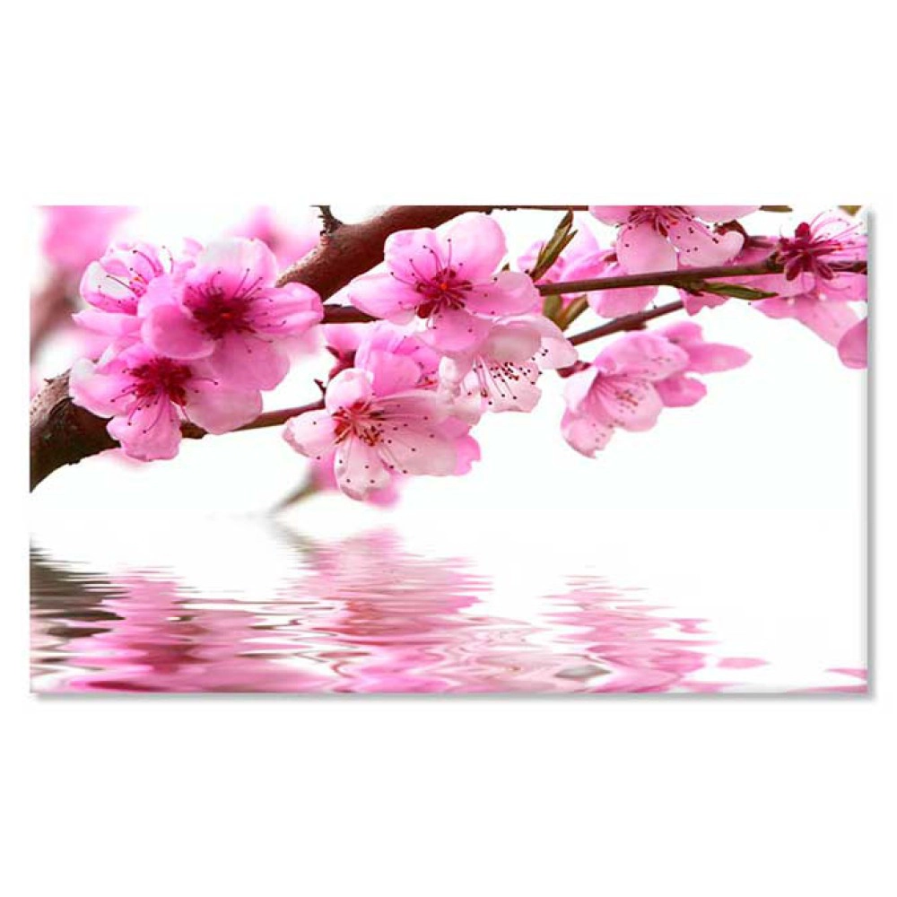 Tablouri Cherry 1216