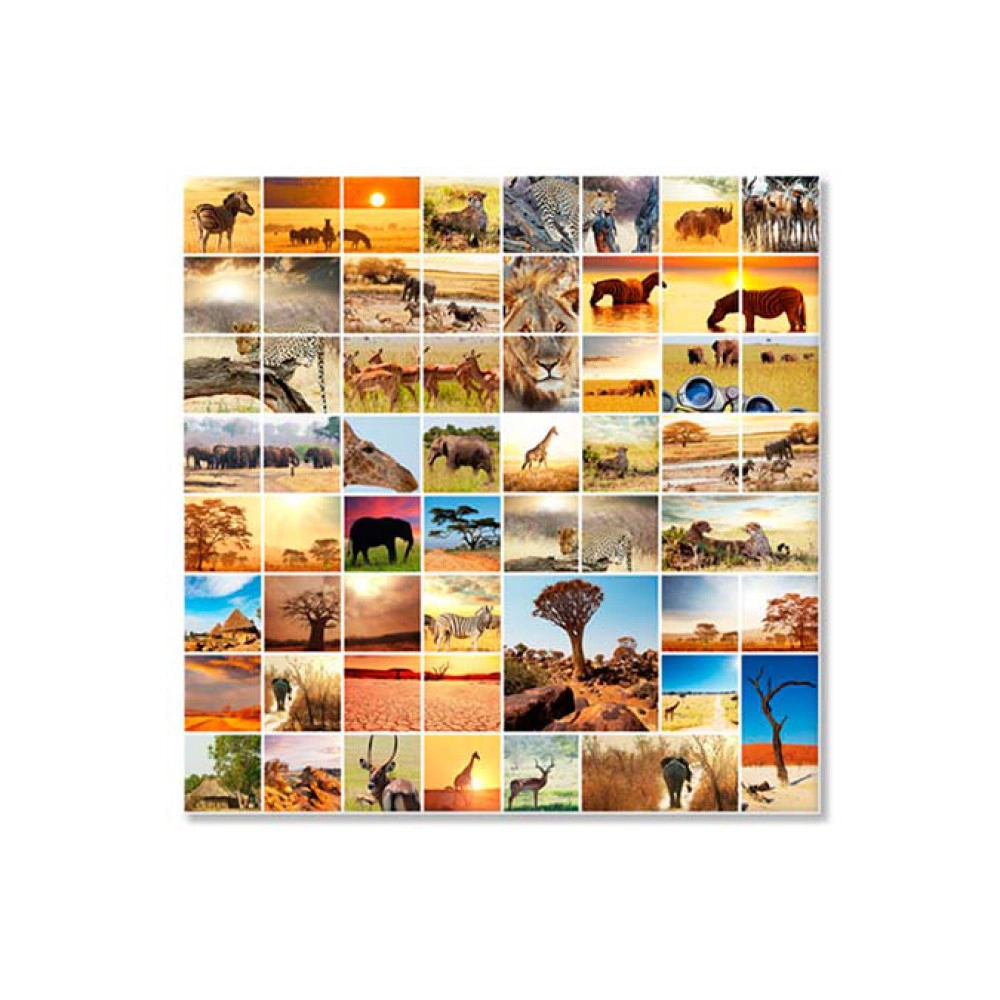 Colaj Africa wild 3348