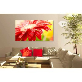 Tablouri culori 1515