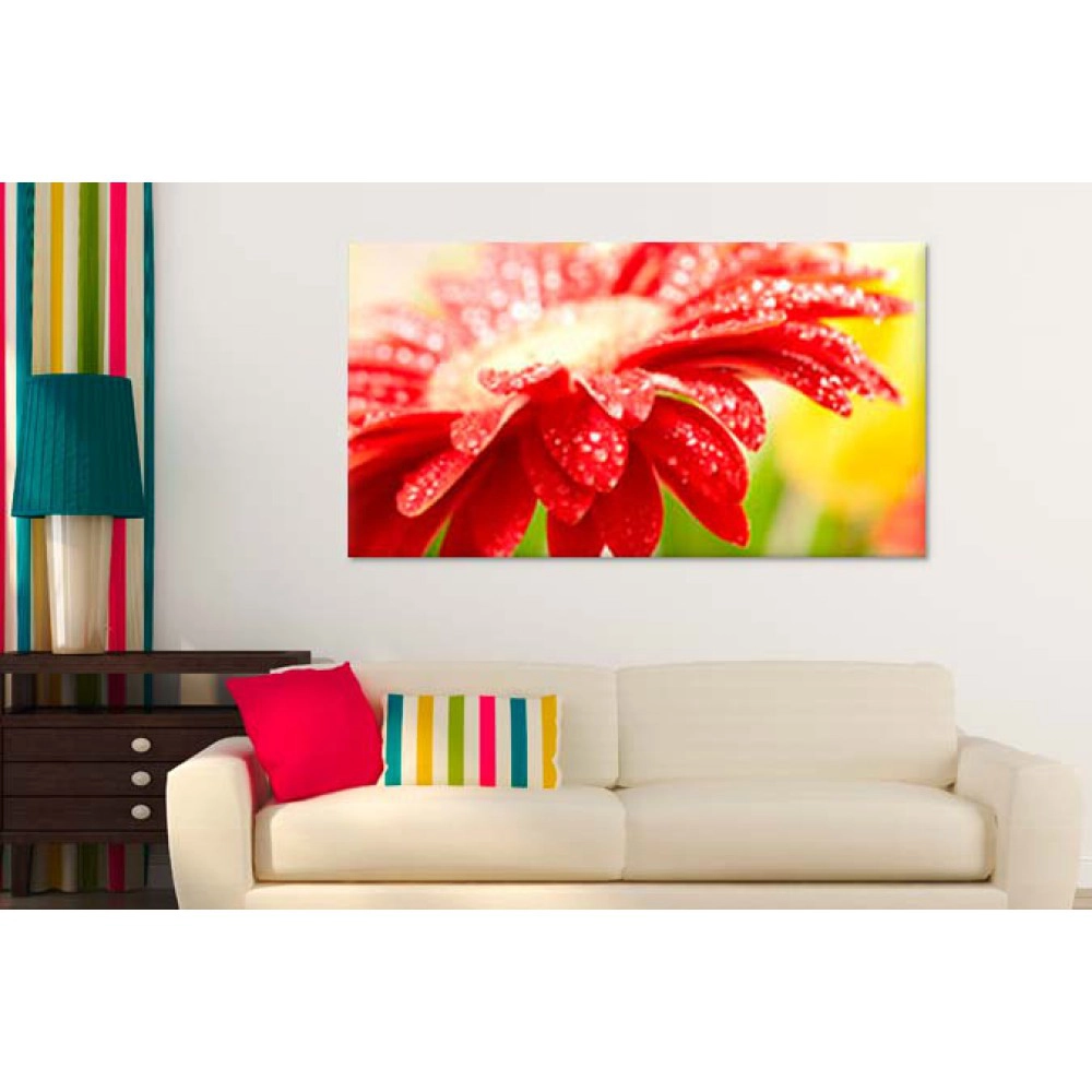 Tablouri culori 1515