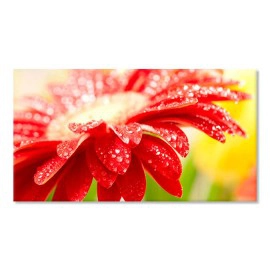 Tablouri culori 1515