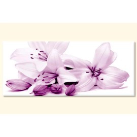 Crini cu boboci 25230