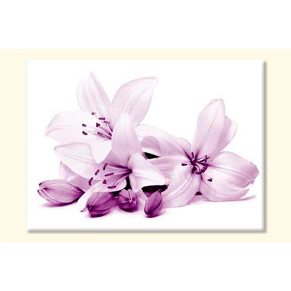 Tablouri Crini 25200