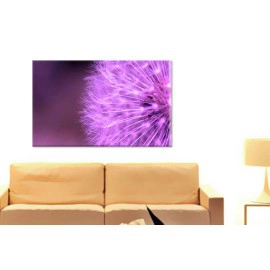 Tablouri papadie 12678