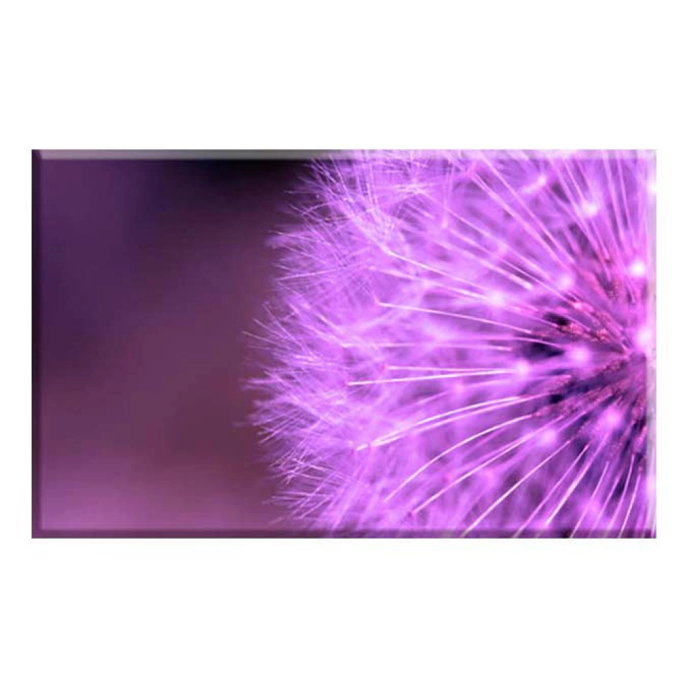 Tablouri papadie 12678