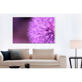 Tablouri papadie 12678