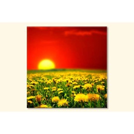 Tablouri Papadie 55743