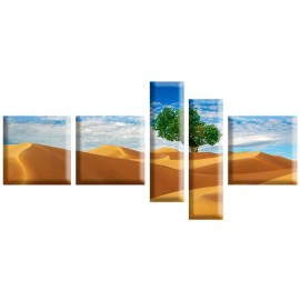 Copac in desert 1925