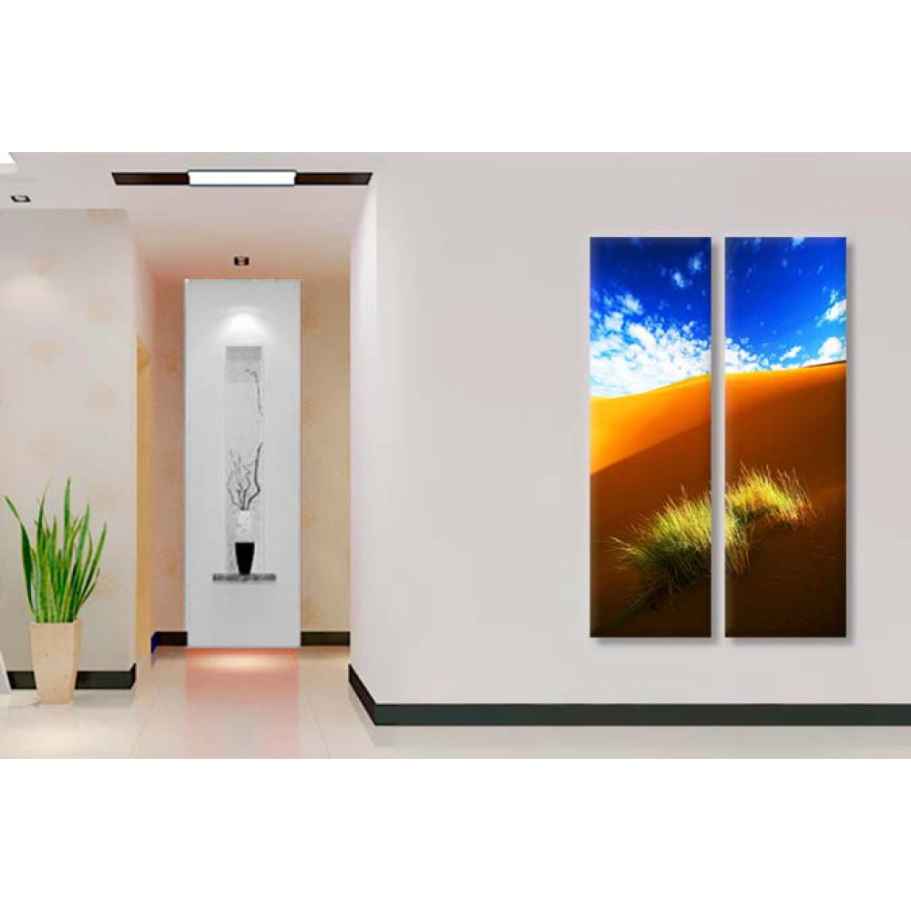 Iarba in desert 7795