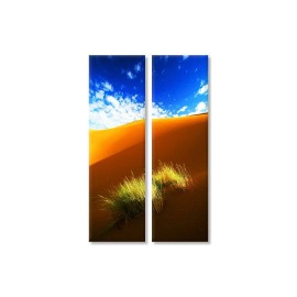 Iarba in desert 7795