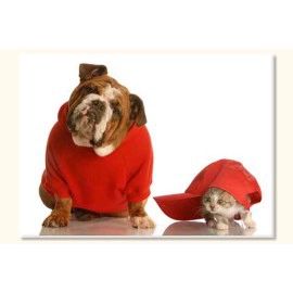 Prieteni din interes 9843