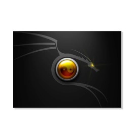 Tablouri yin yang 6543