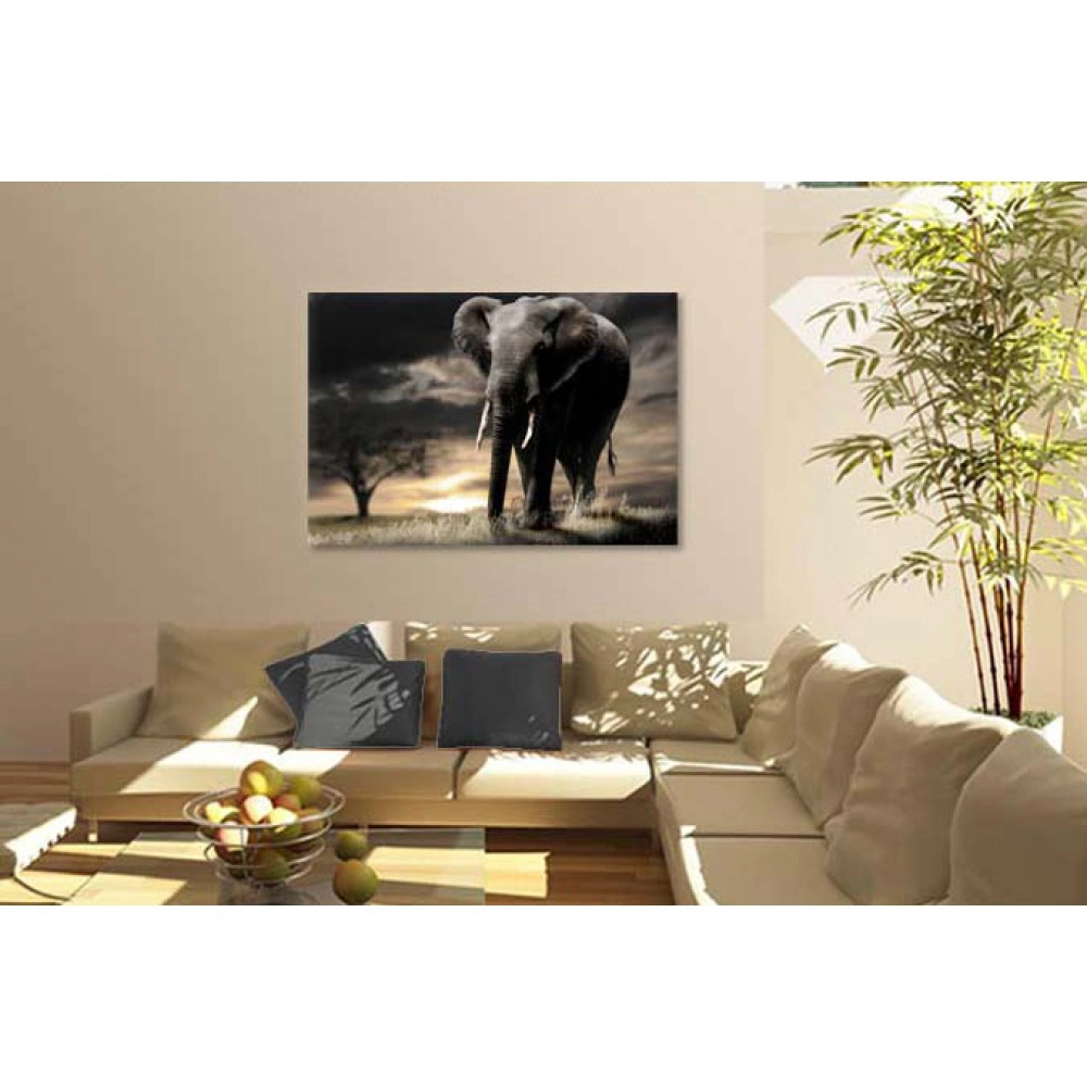 Elefant african 1533