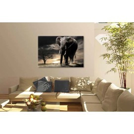 Elefant african 1533