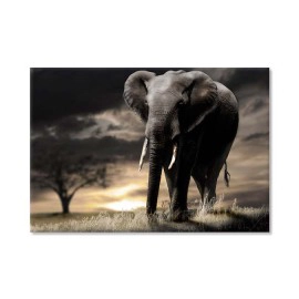 Elefant african 1533