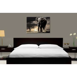 Elefant african 1533