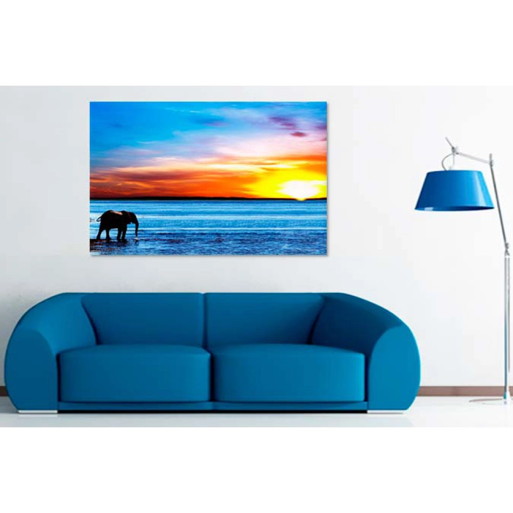 Elefant pe mal 47334