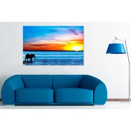 Elefant pe mal 47334