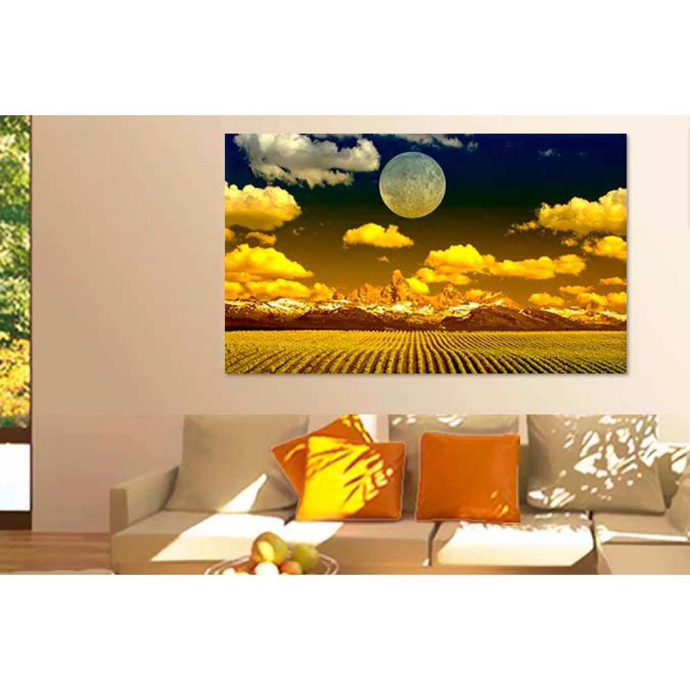 Tablouri field 72984