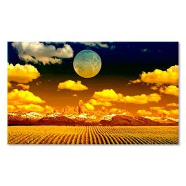 Tablouri field 72984