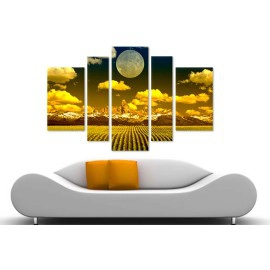 Camp in clar de luna 7284